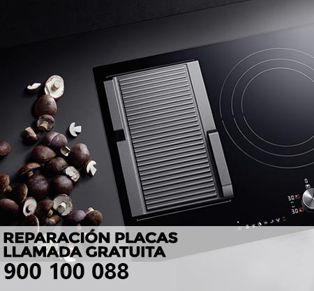 Reparación averías placa de cocción Sanyo